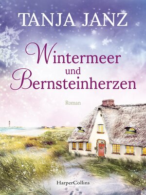 cover image of Wintermeer und Bernsteinherzen